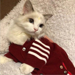 The Purrfect Fashion Statement for Your Feline Friend