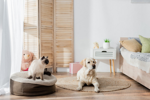 Keeping Pets Comfortable at Home