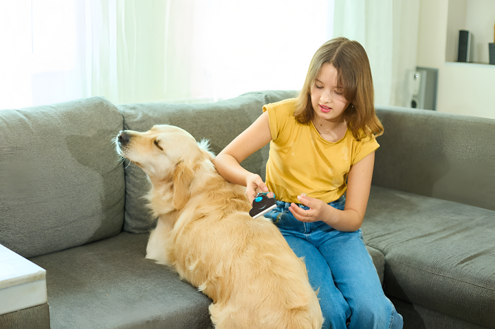 Grooming Essentials for Healthy Pets
