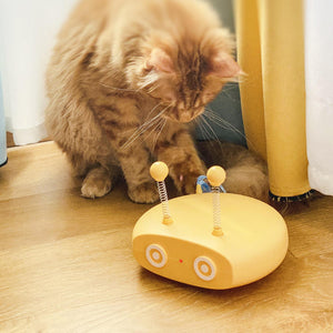 The Ultimate Interactive Fun for Your Feline Friend