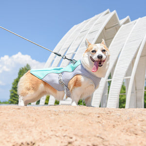 Keep Your Pup Cool and Stylish This Summer!