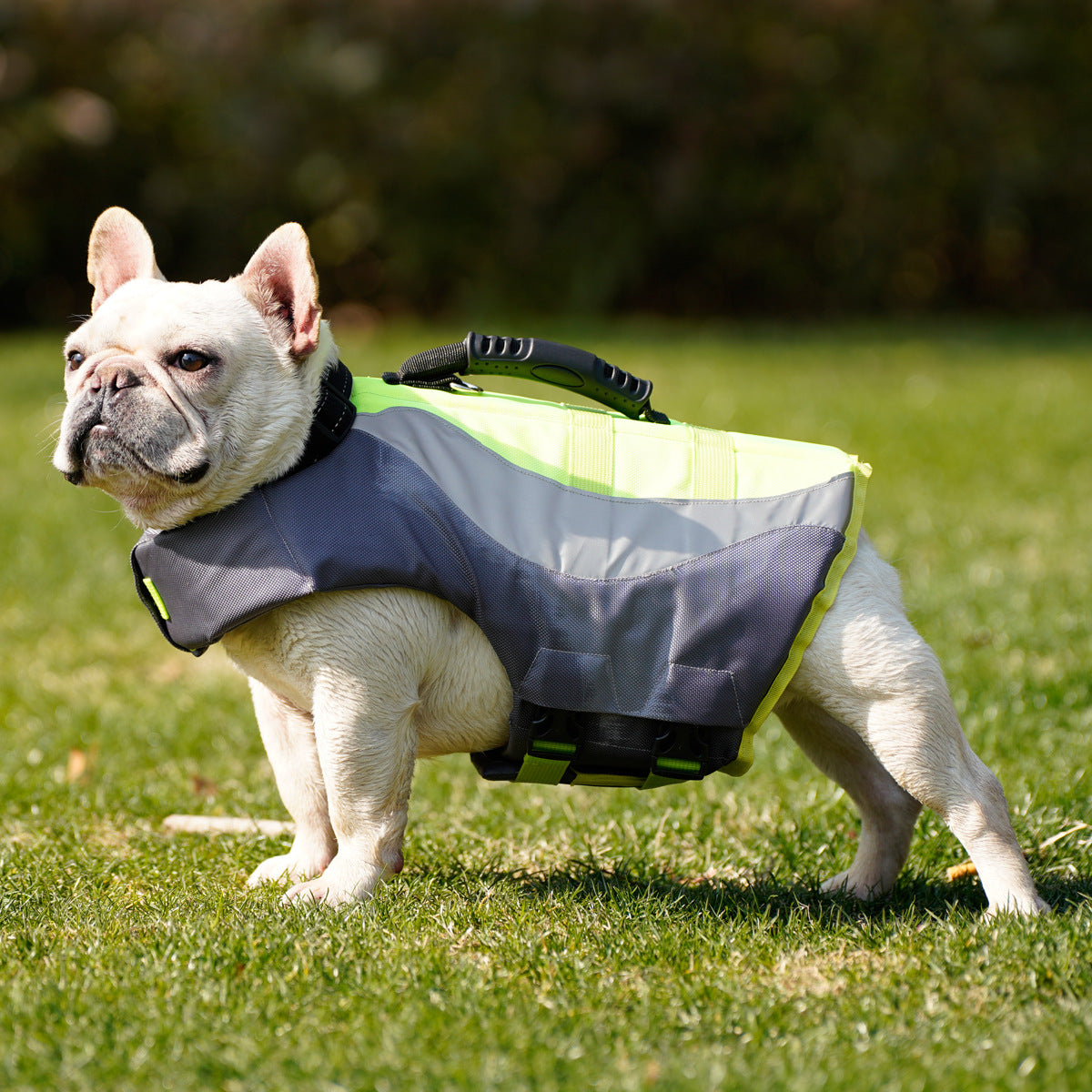 Reflective Pet Dog Swimsuit