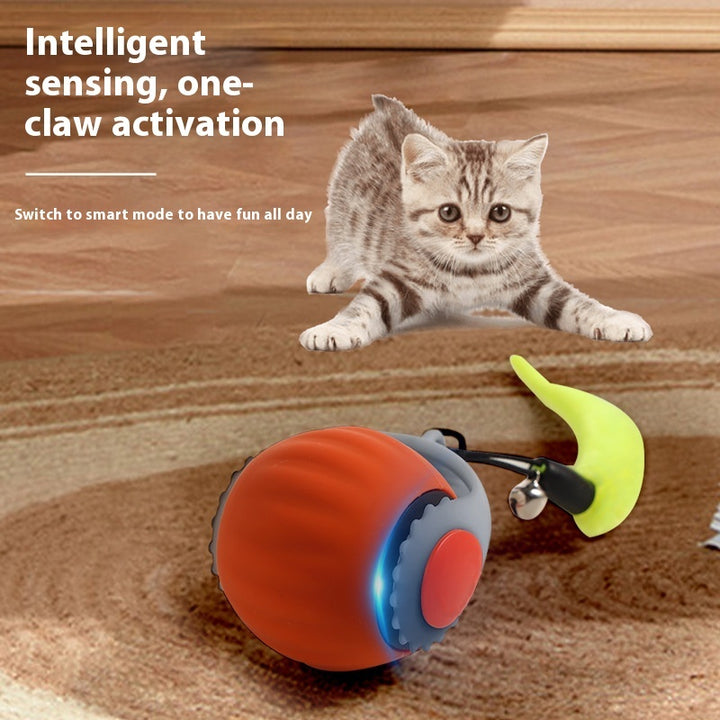 Pet With Gravity Sudden Ball Cat Toy