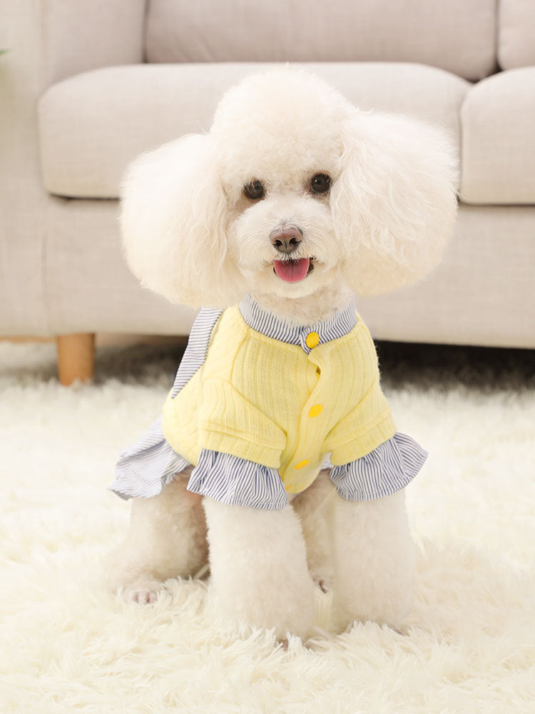 Pet Trendy Autumn And Winter Clothes