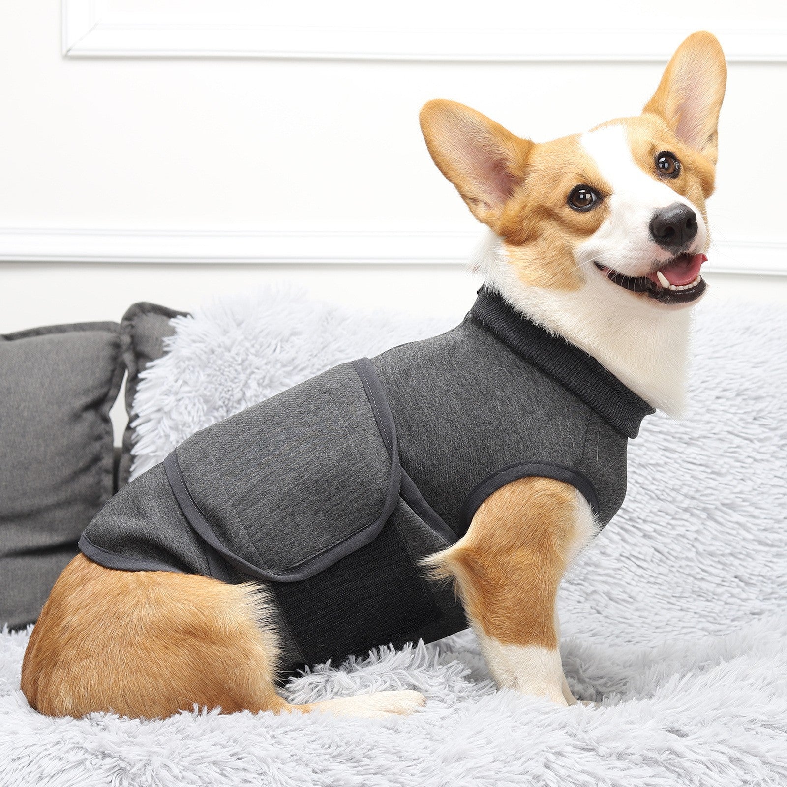 Pet Polyester Comfort Cotton Jacket