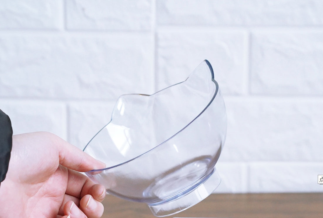 Oblique Mouth Transparent Single Pet Bowl