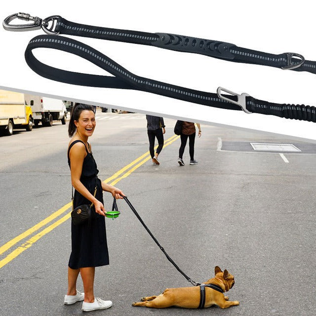 Dog Leash Can Go Out Dog Walking Artifact