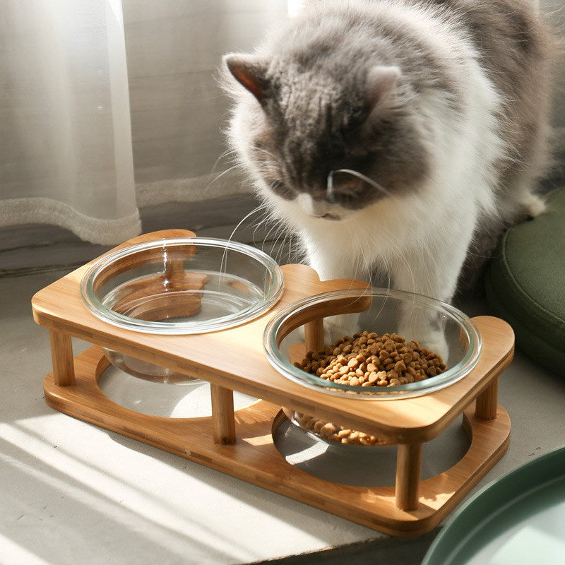 Glass cat bowl food bowl
