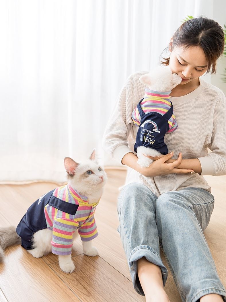 Cat Clothes Bib Autumn And Winter Clothes