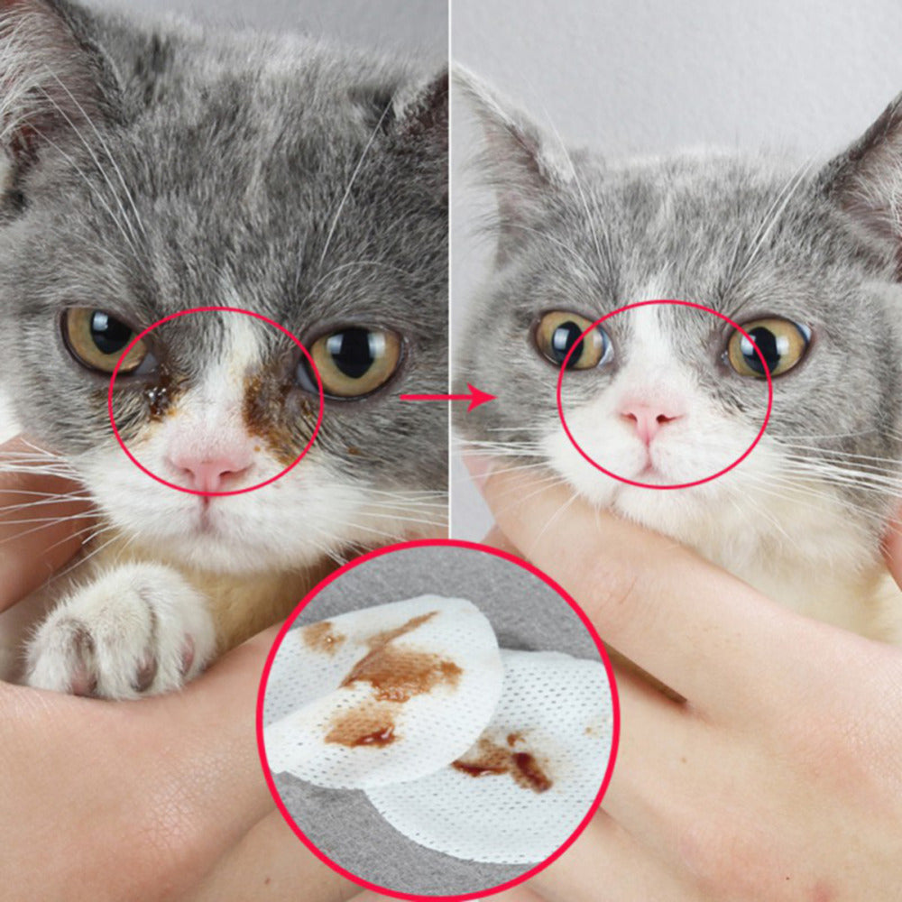 Pet Eye Grooming Wipes Dog Cat Eyes