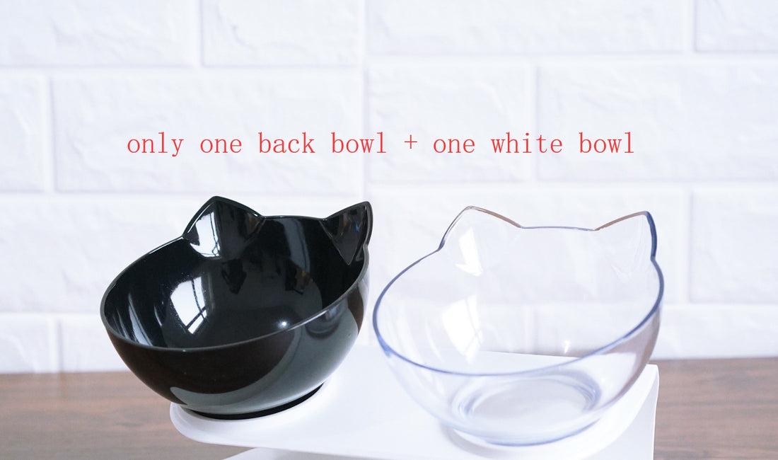 Oblique Mouth Transparent Single Pet Bowl