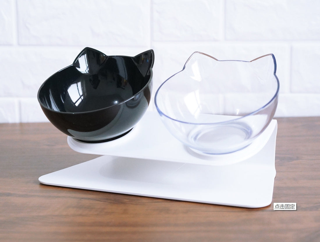 Oblique Mouth Transparent Single Pet Bowl