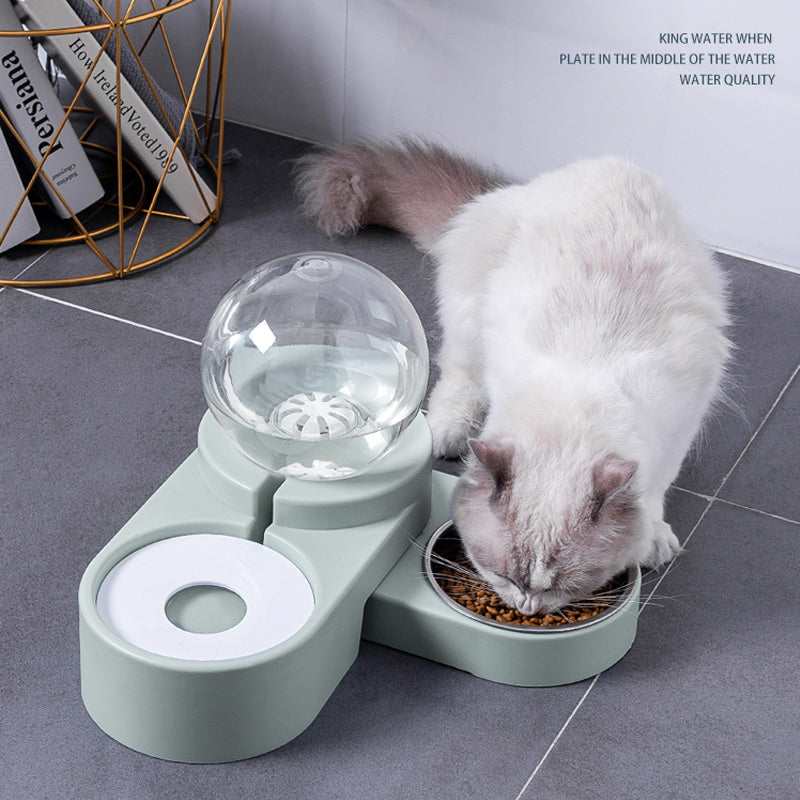 Kitten Water Drinking Bowl Feeding Container