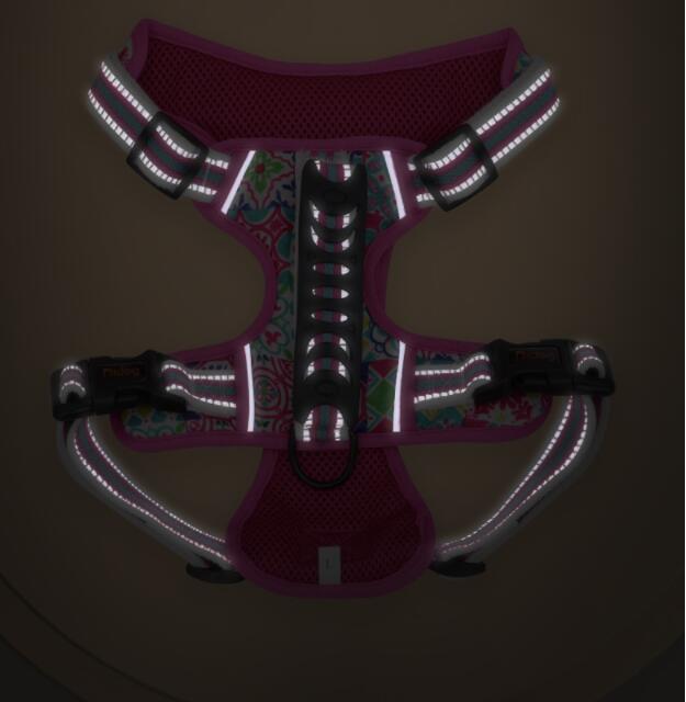 Small Medium And Large Dog Pet Leash