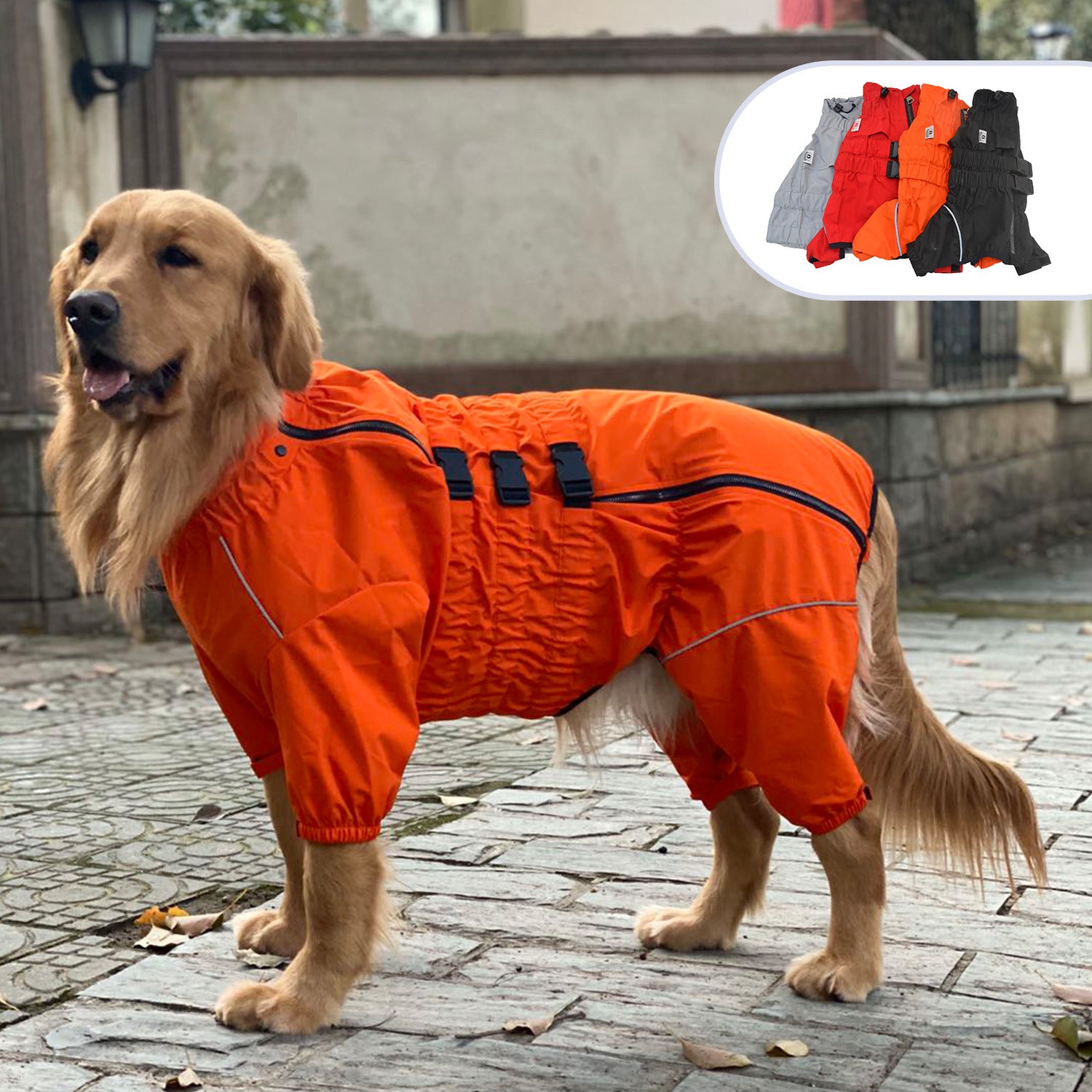 Four Legged Dog Raincoat