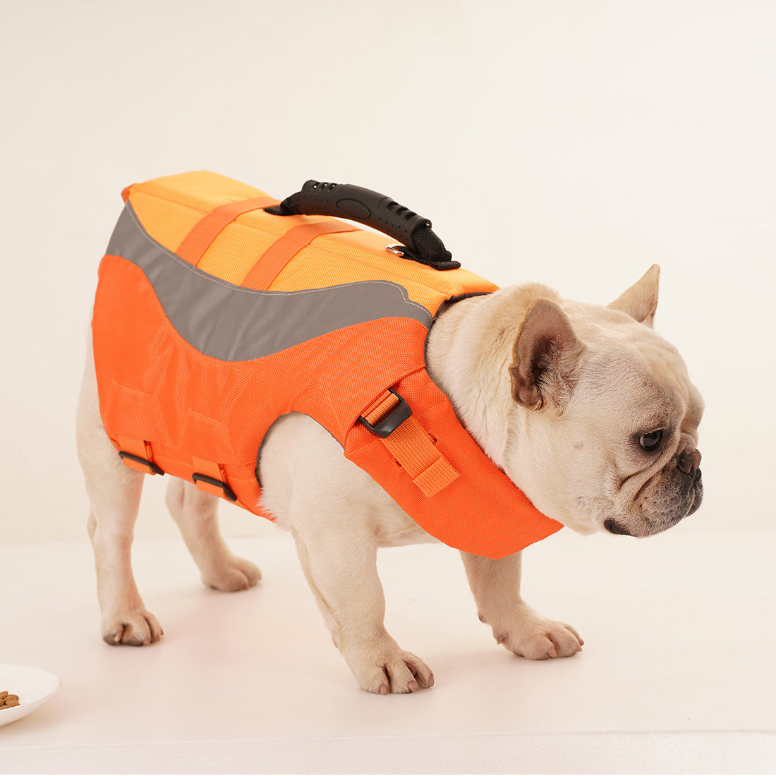 Reflective Pet Dog Swimsuit