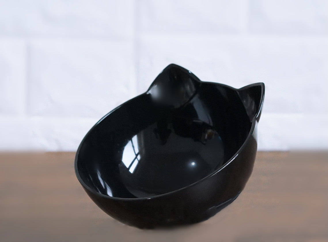 Oblique Mouth Transparent Single Pet Bowl