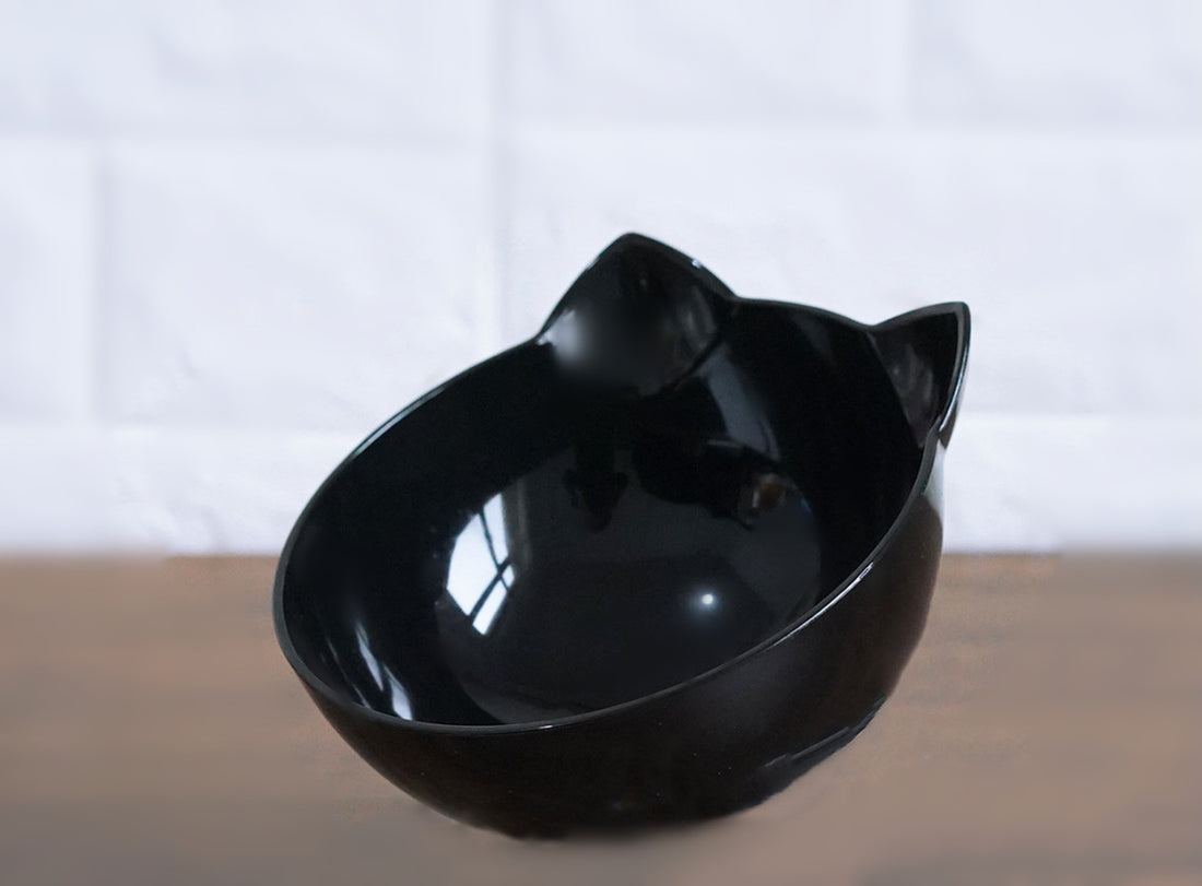 Oblique Mouth Transparent Single Pet Bowl
