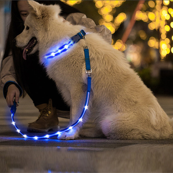 LED USB Charging Luminous Pet Leash