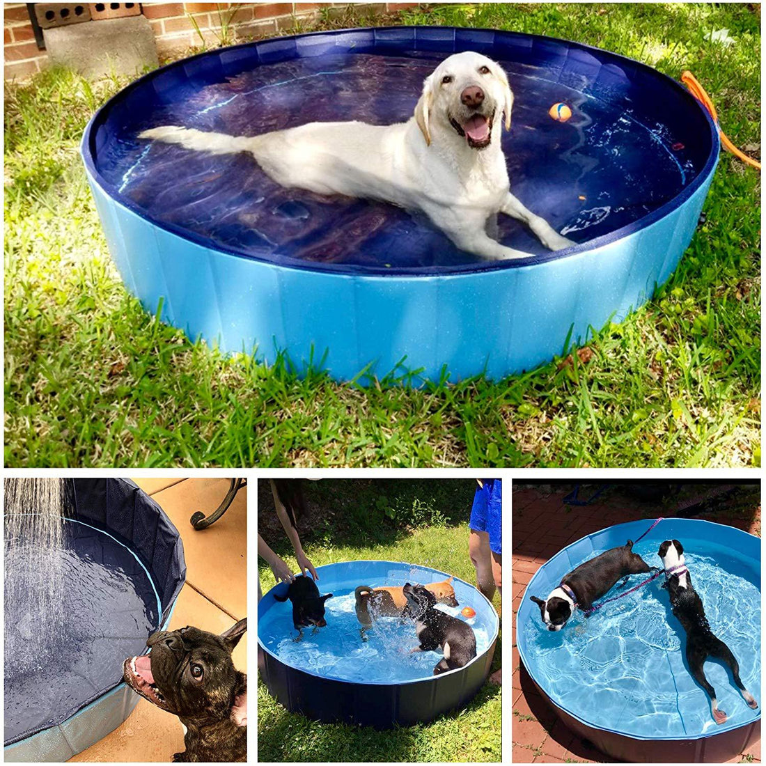 Foldable Dog Pool Pet Bath Swimming Tub