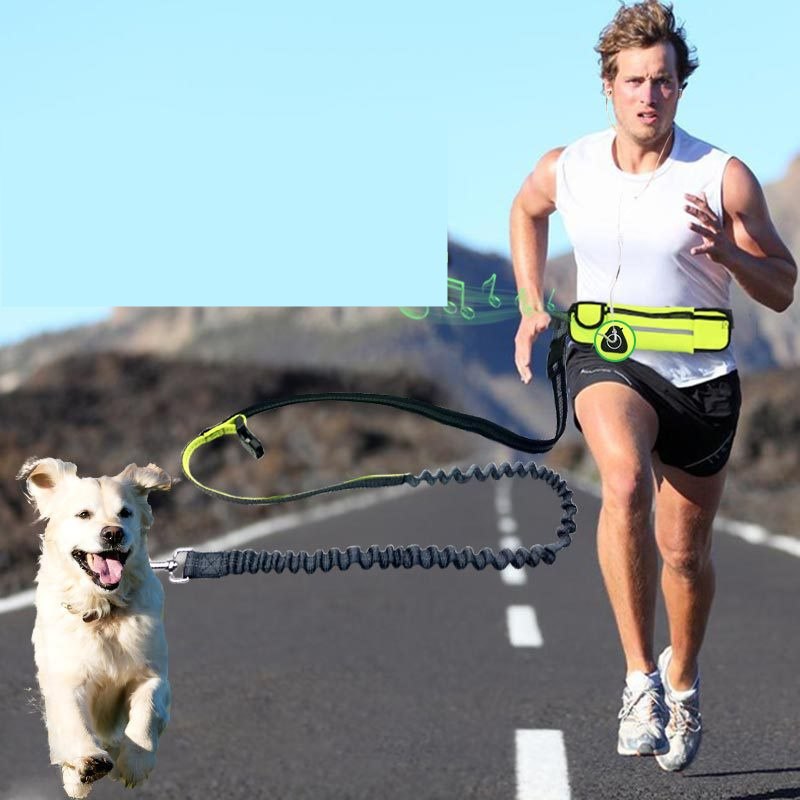 Hands-Free Dog Running Leash with Waist