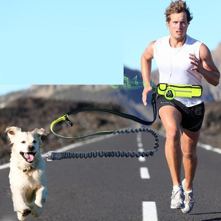 Hands-Free Dog Running Leash with Waist