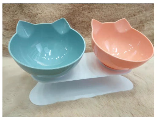 Oblique Mouth Transparent Single Pet Bowl