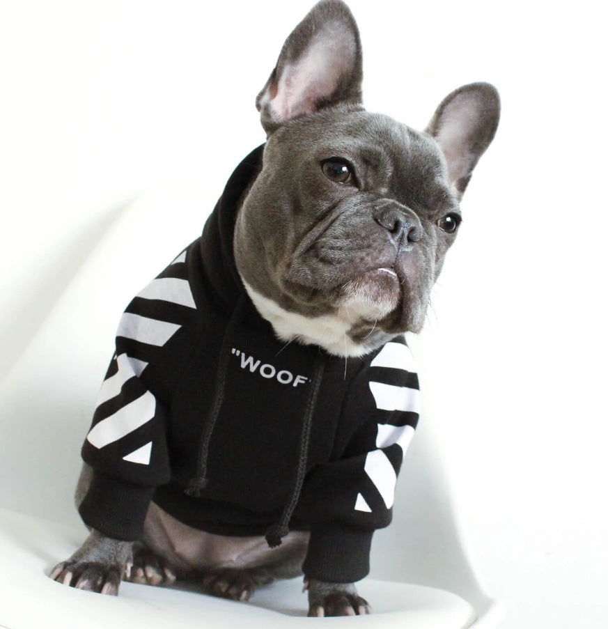 autumn and winter sports dog clothes