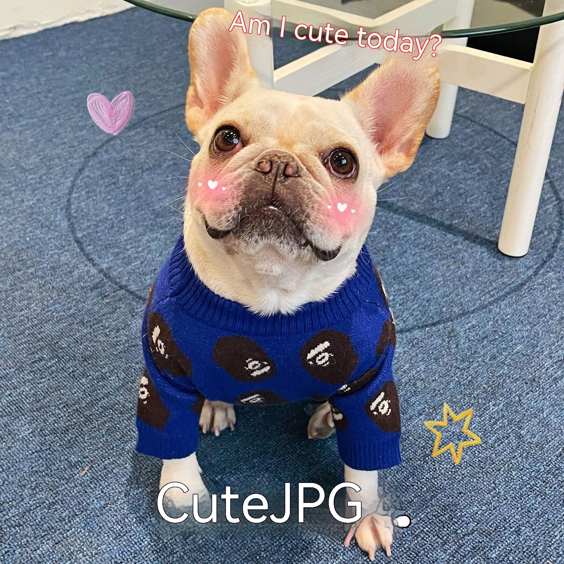 Pet Trendy  Clothes Dog Cat Winter Sweater