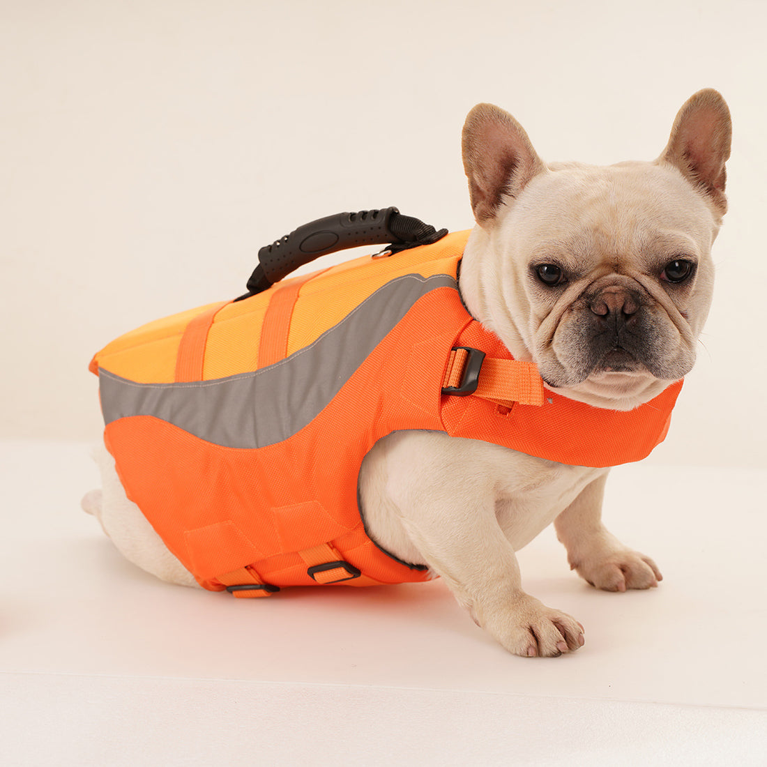 Reflective Pet Dog Swimsuit
