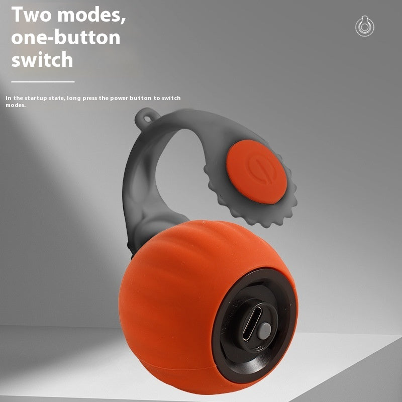 Pet With Gravity Sudden Ball Cat Toy