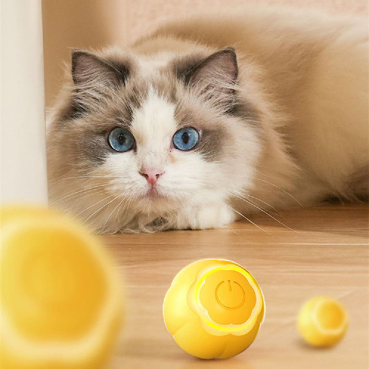 Smart Rolling Ball Cat Toy Bite-resistant