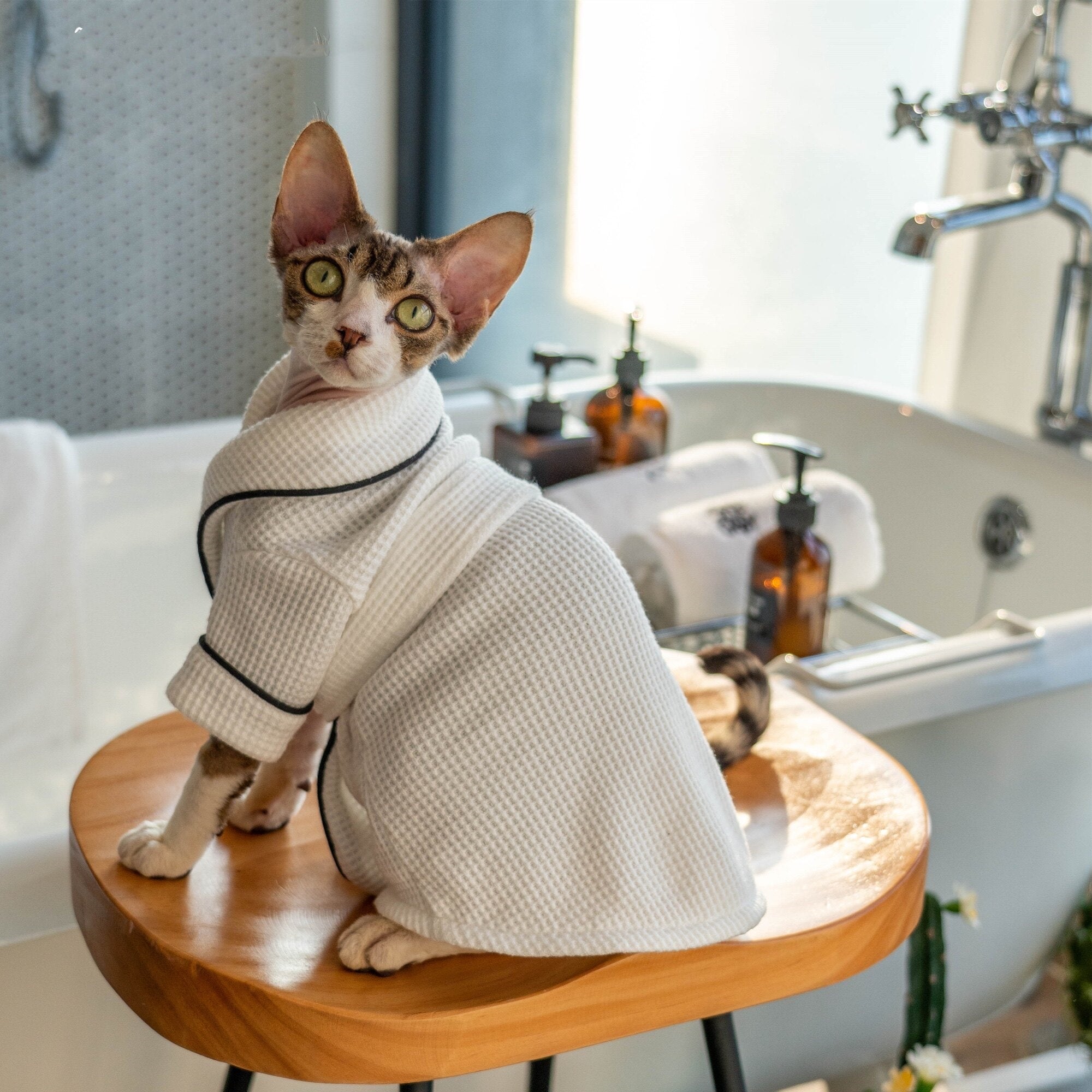 Pet Bathrobe And Bath Towel