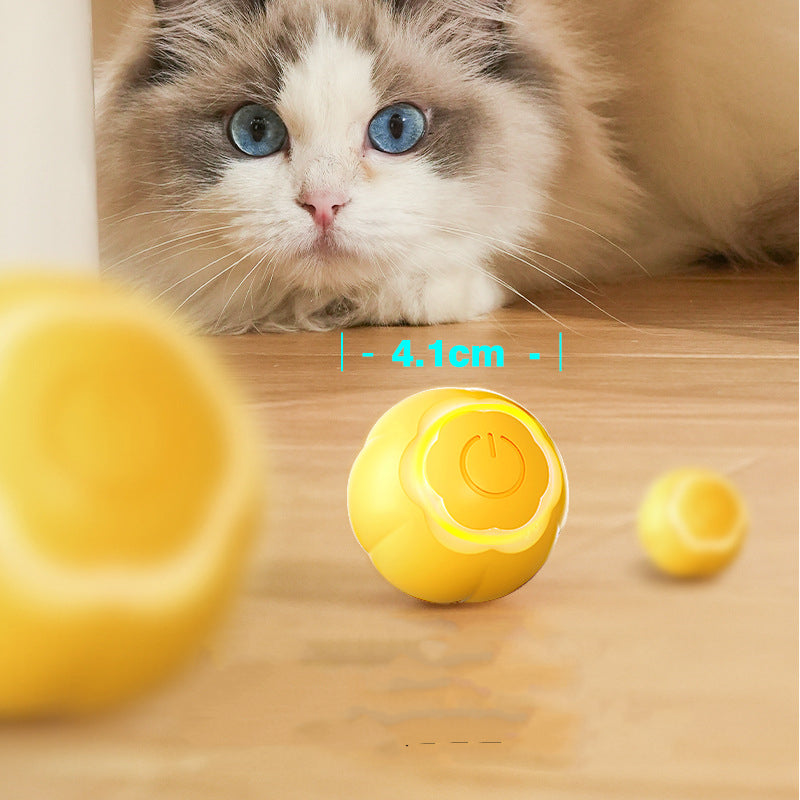 Smart Rolling Ball Cat Toy Bite-resistant