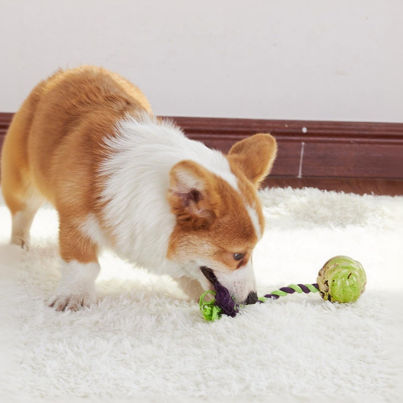 Interactive Puppy Toys For Tug-of-war