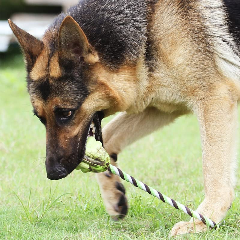 Interactive Puppy Toys For Tug-of-war