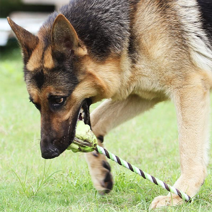 Interactive Puppy Toys For Tug-of-war