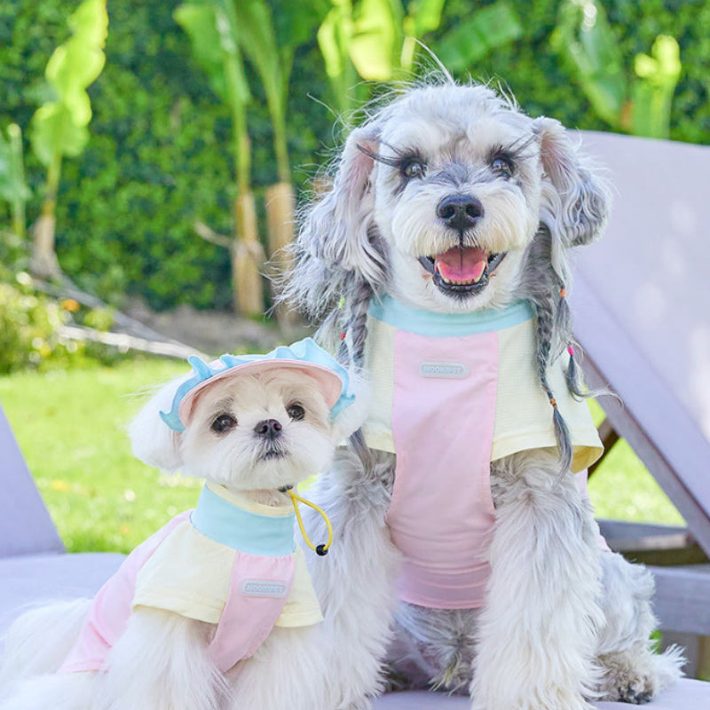 Bichon Schnauzer Small Dog Clothes