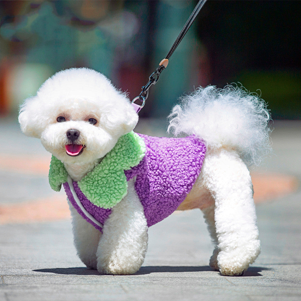 Lotus Leaf Lace Warm Pet Clothes