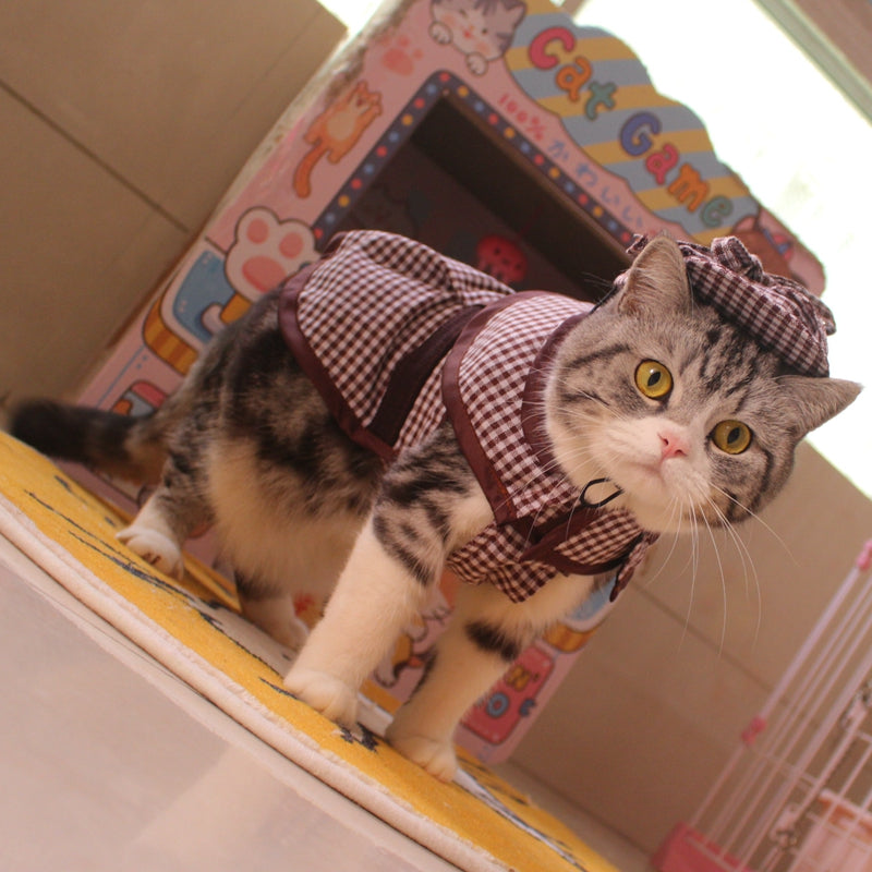 Detective Clothes Cloak Hat Suit