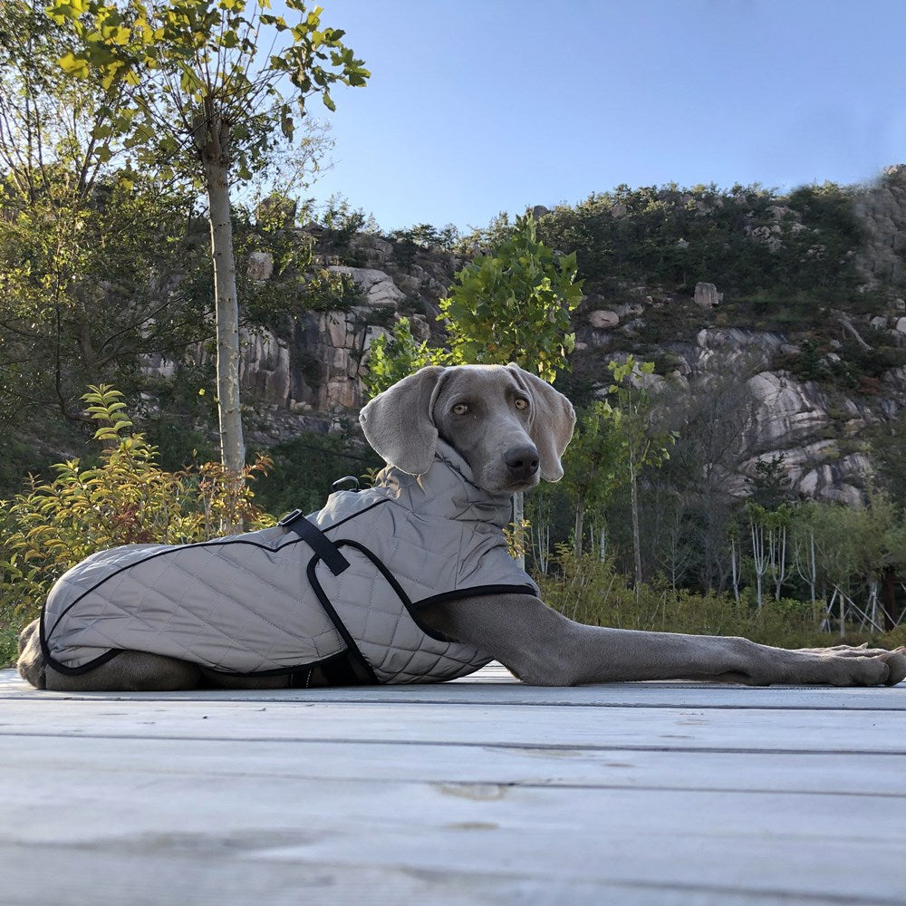 Full-body Reflective Jacket For Dogs