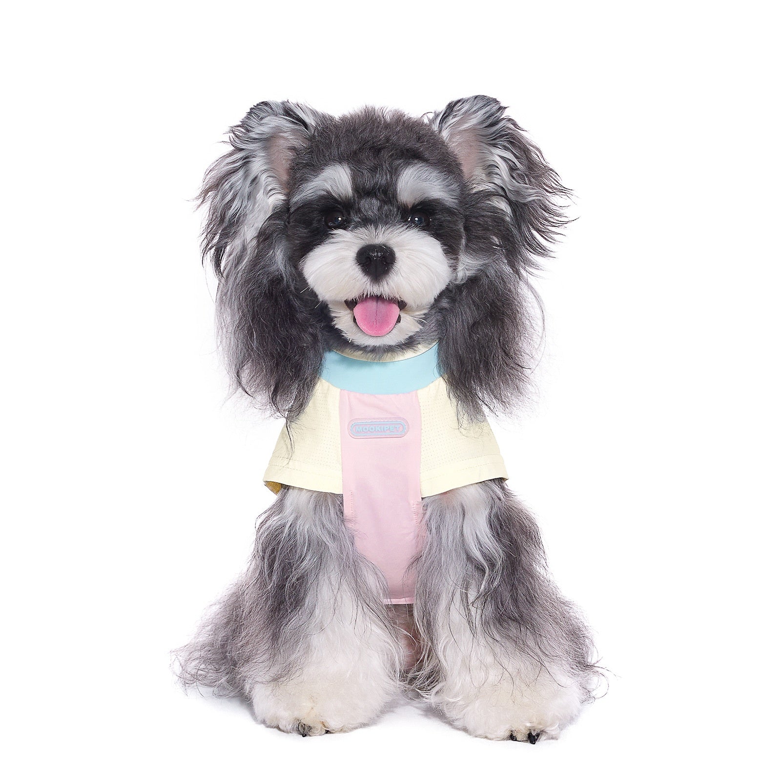 Bichon Schnauzer Small Dog Clothes