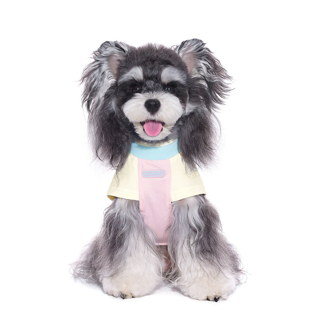 Bichon Schnauzer Small Dog Clothes