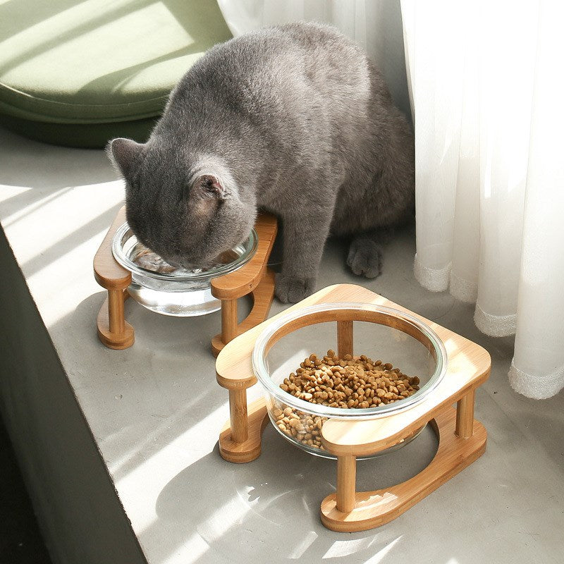 Glass cat bowl food bowl