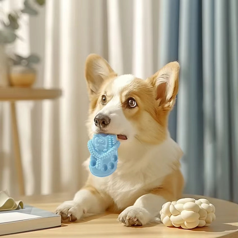 Pet Dog Chewing Toys, Slippers