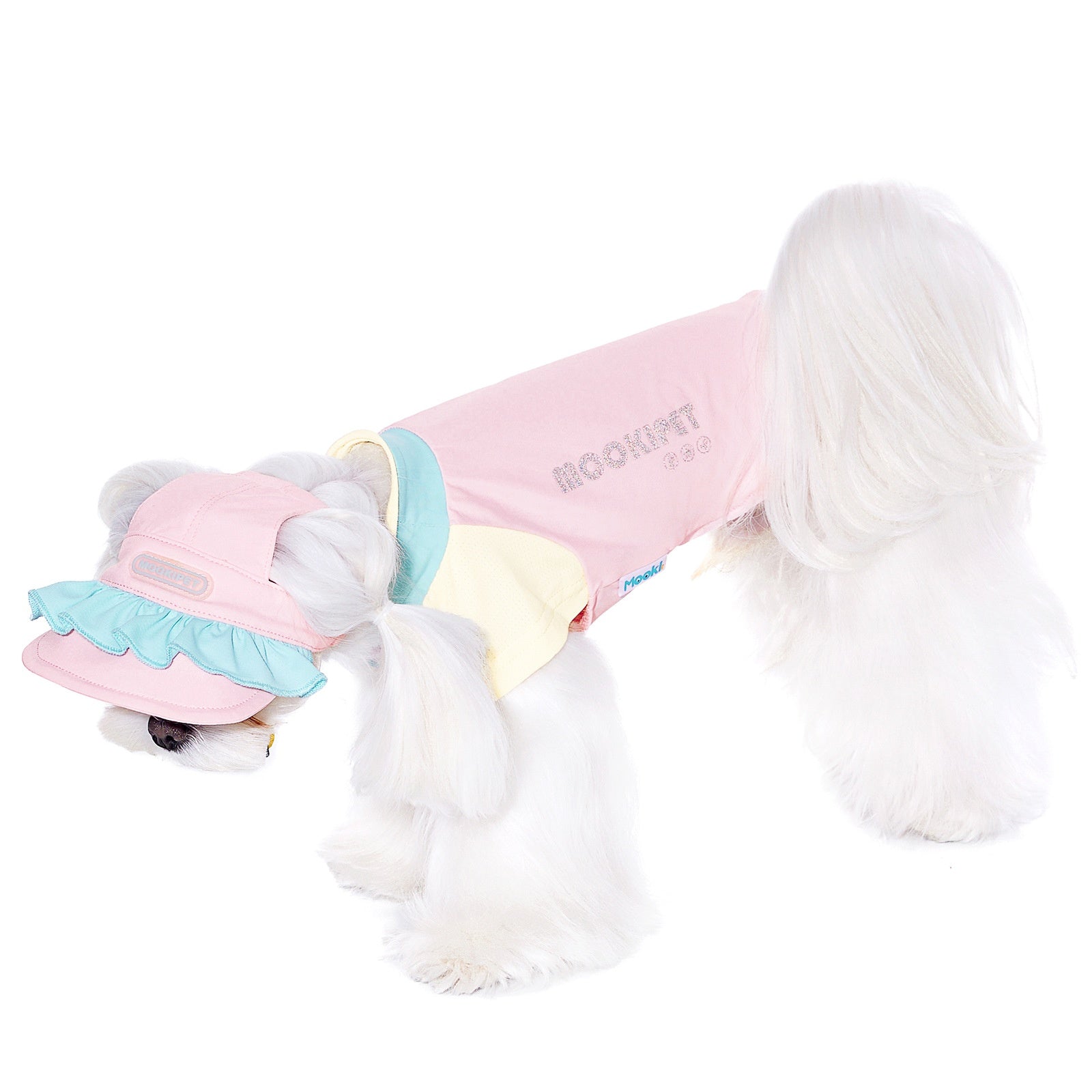 Bichon Schnauzer Small Dog Clothes