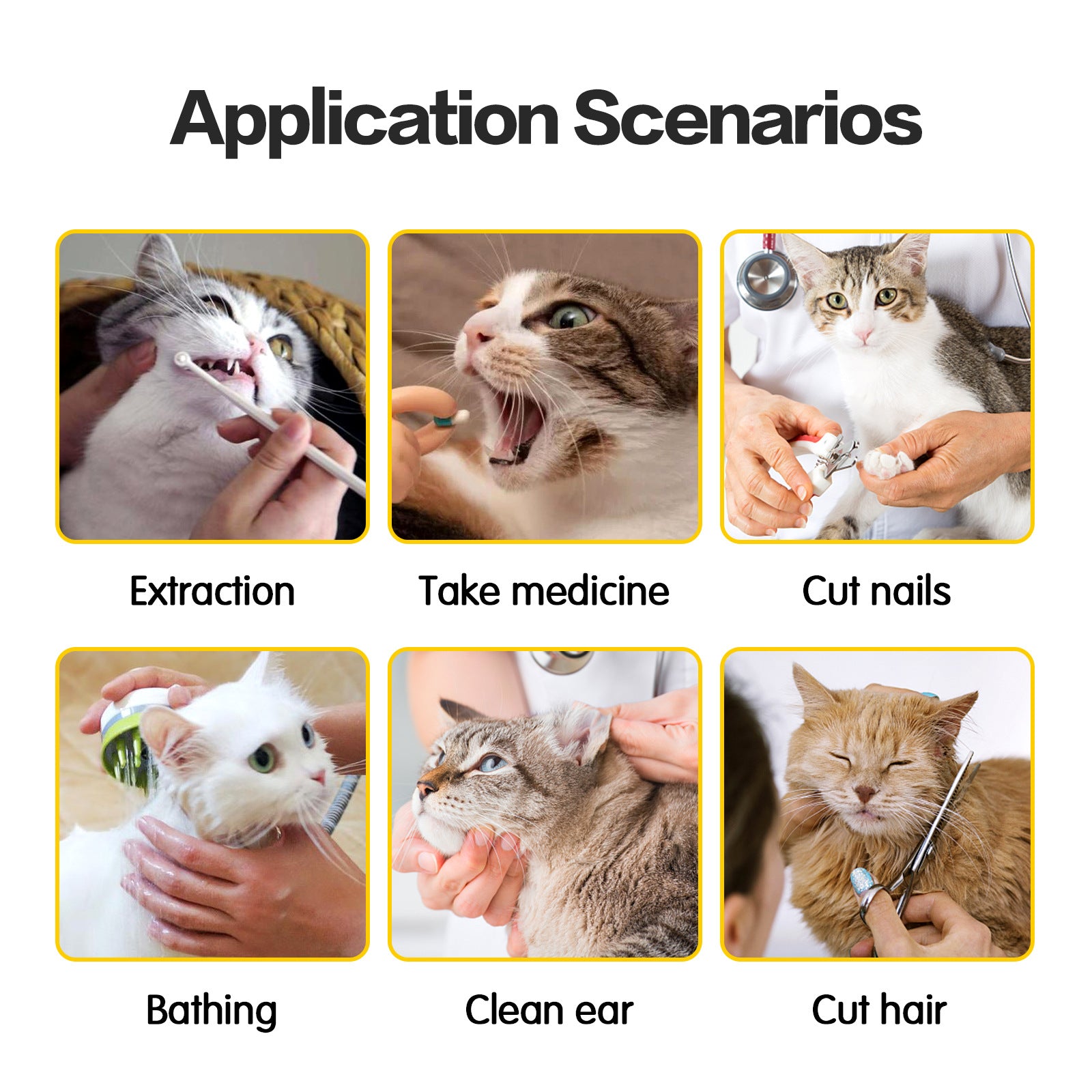 Double Lined Anti Scratch And Bite Pet Bags