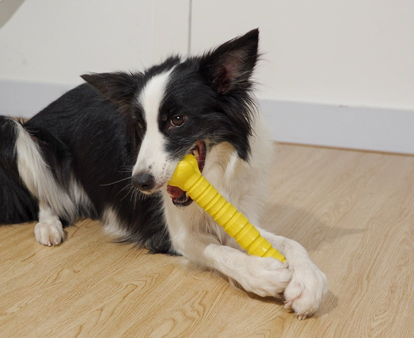 Pet Toys Can Chew And Make Sound