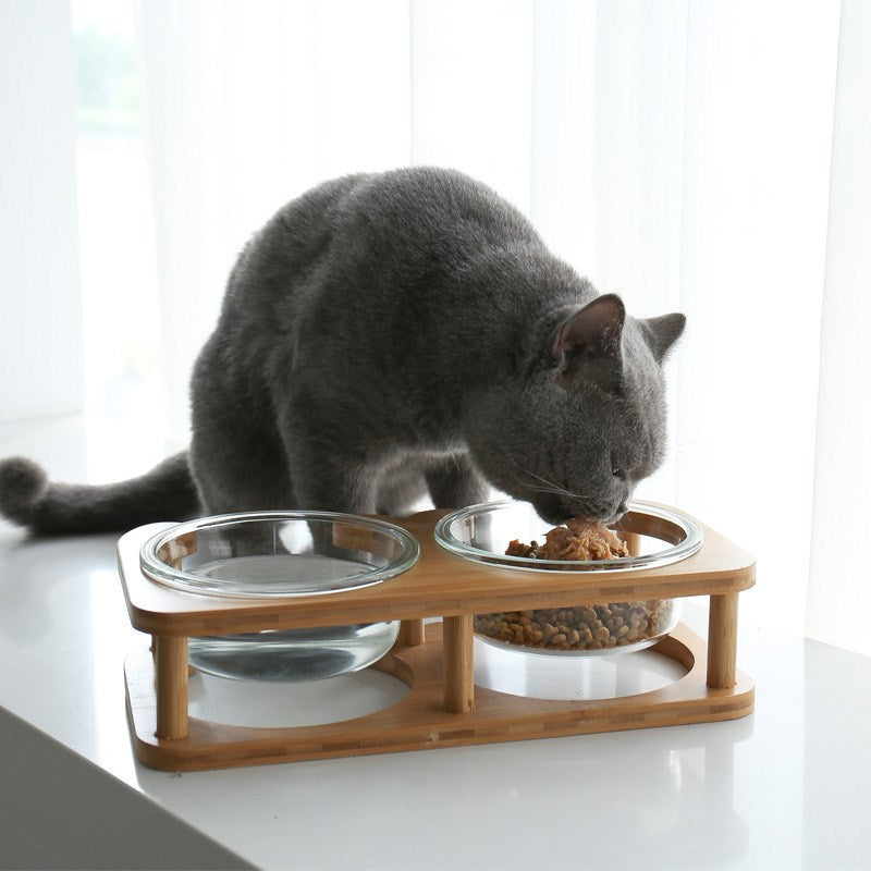 Glass cat bowl food bowl