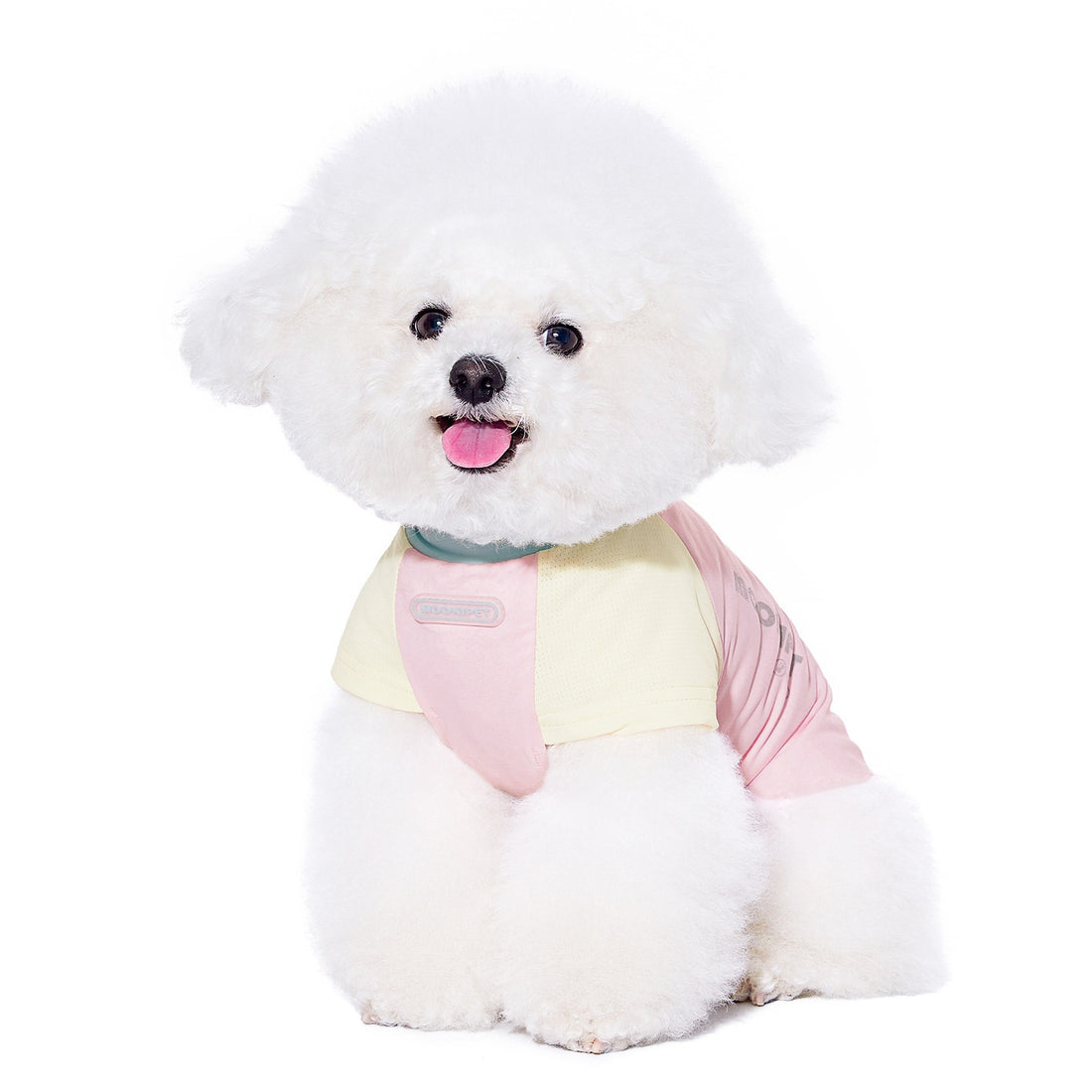 Bichon Schnauzer Small Dog Clothes